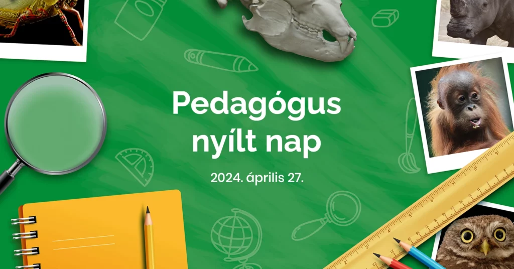 Pedagógus nyílt nap