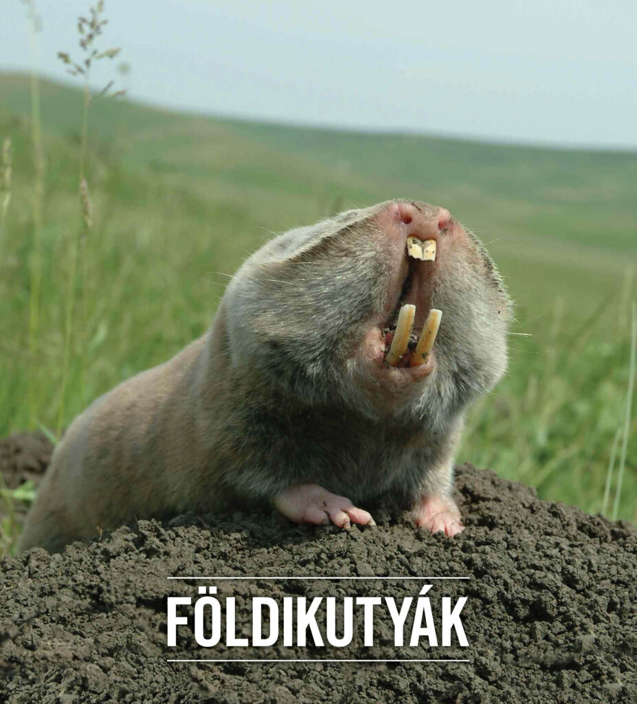 Földikutyák