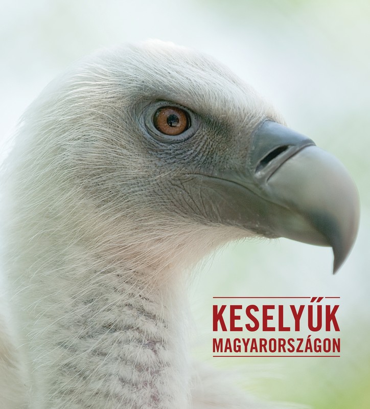 Keselyűk Magyarországon